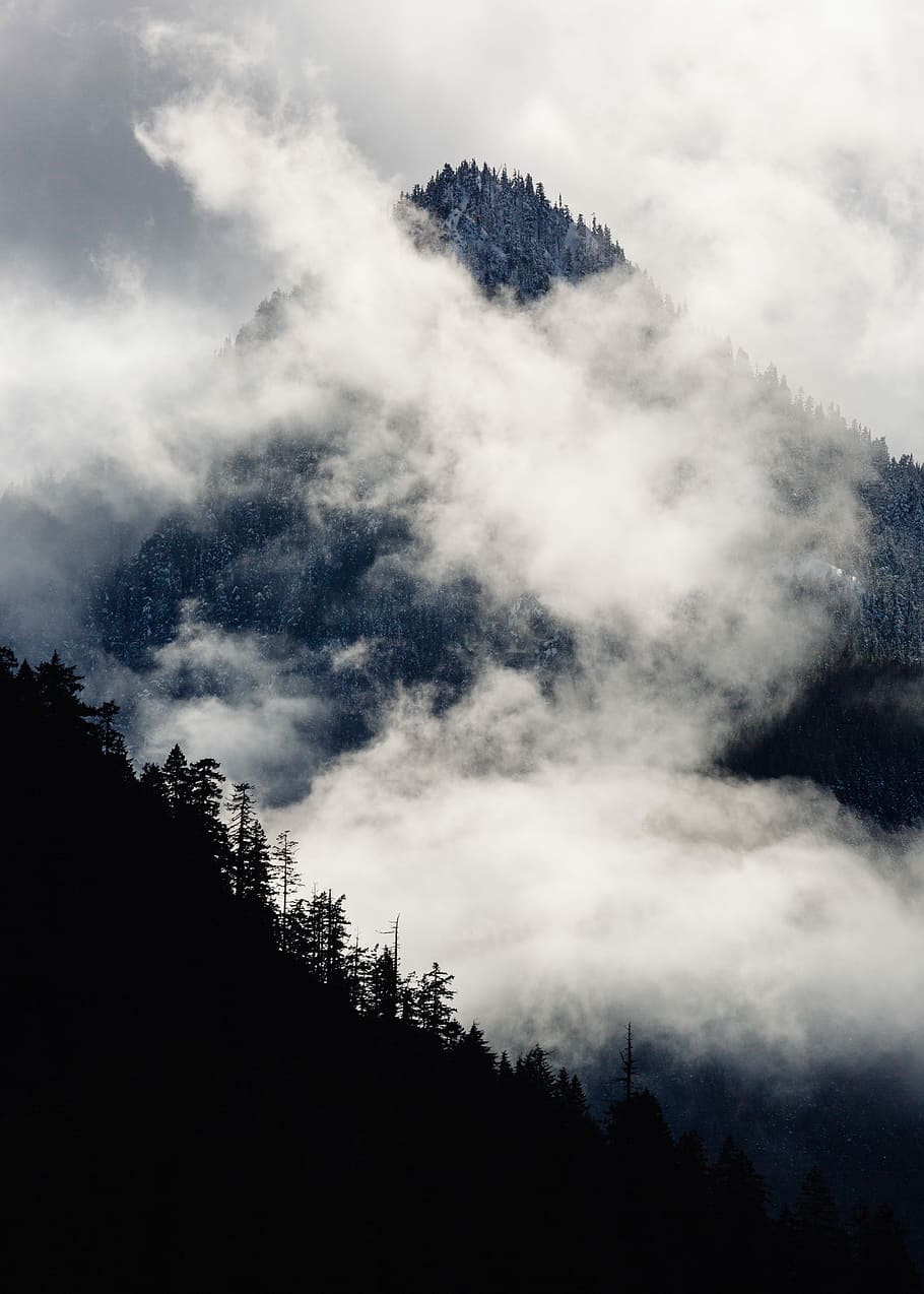 silhouette photography of mountain covered with mist, mountain with low-lying clouds during daytime HD wallpaper