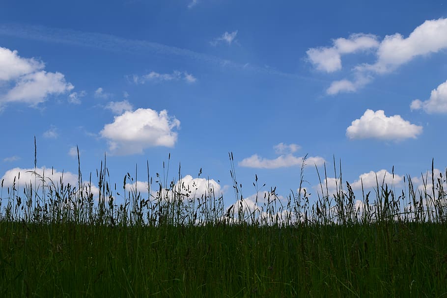 background, horizon, sky, clouds, mood, blue, landscape, meadow HD wallpaper