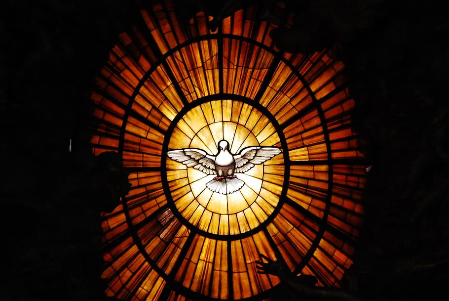 the vatican, dove of peace, rome, spiritual, illuminated, architecture, HD wallpaper