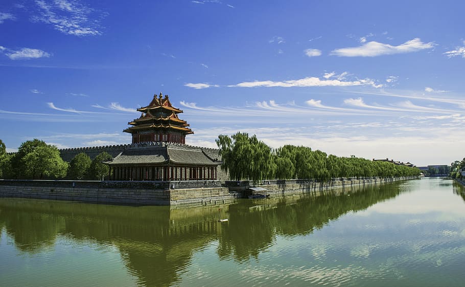 architecture, Asian, building, castle, chna, daylight, forbidden city HD wallpaper