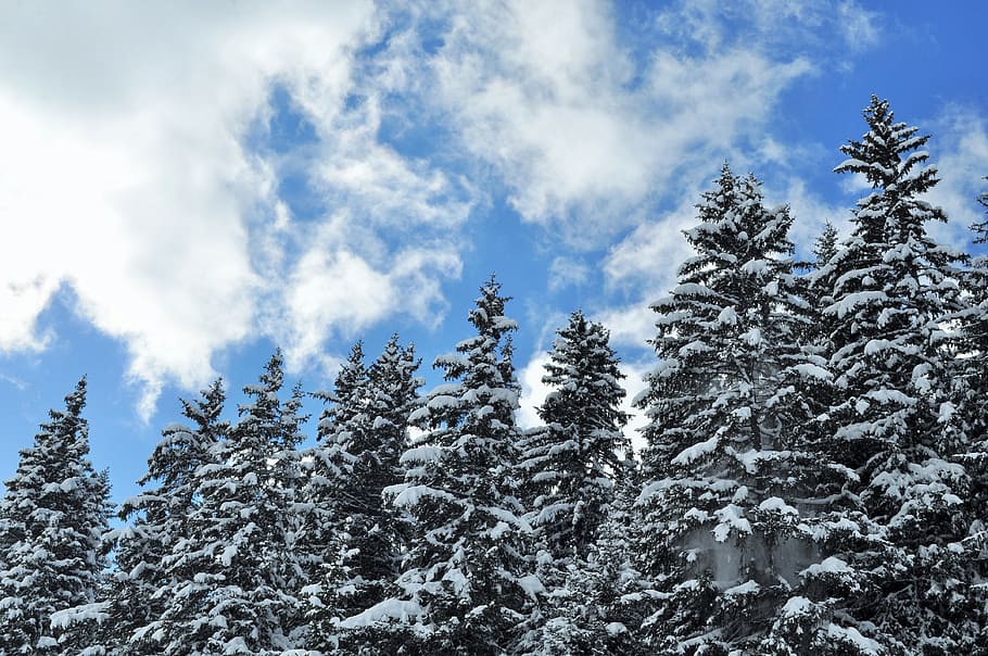 snow, alps, haute-savoie, winter landscape, mountain, ski, mountaineering, HD wallpaper