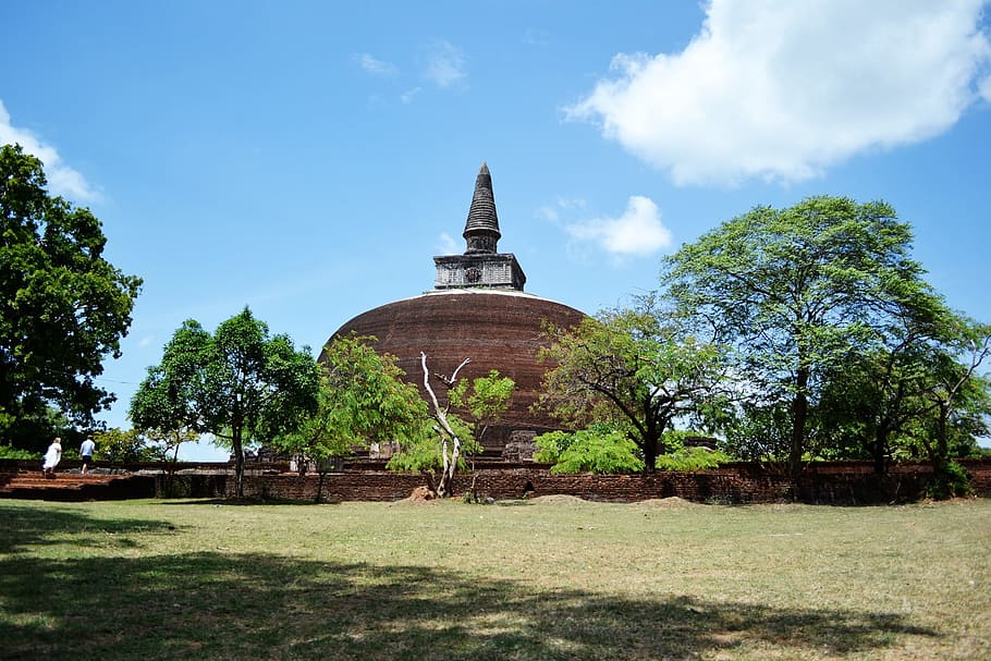 brown dome temple surrounded by green leafed trees during daytime HD wallpaper
