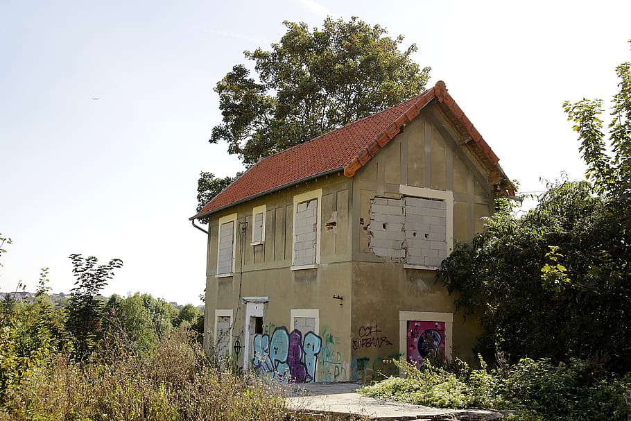 deserted, building, graffiti, ruin, boarded up, tree, built structure HD wallpaper