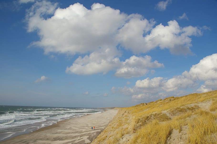 beach, dunes, denmark, sky, sea, cloud - sky, water, land, scenics - nature HD wallpaper