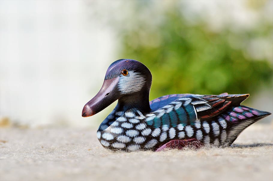 duck, wood duck, deco, decoration, bird, decorative, carving HD wallpaper
