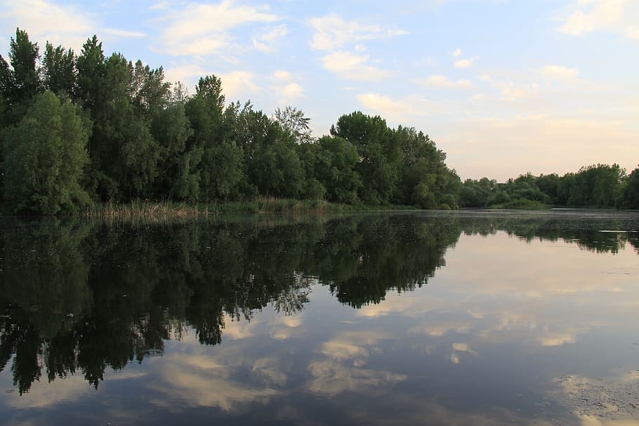 reflection, trees, forest, nature, water, sky, blue, outdoor HD wallpaper