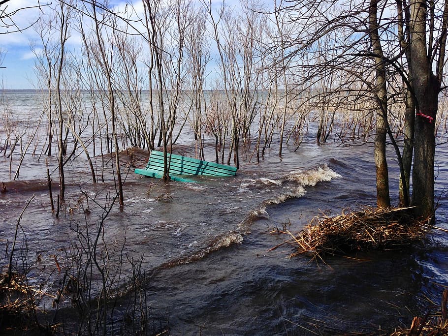 flood, bare trees, park bench, québec, water, nature, no people HD wallpaper