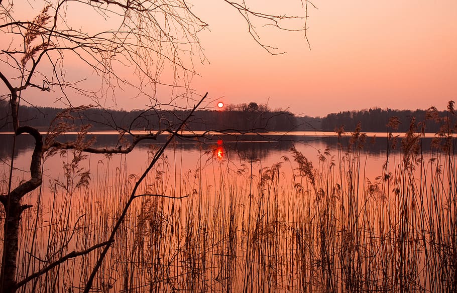 waters, nature, dawn, sunset, reflection, landscape, sky, lake HD wallpaper