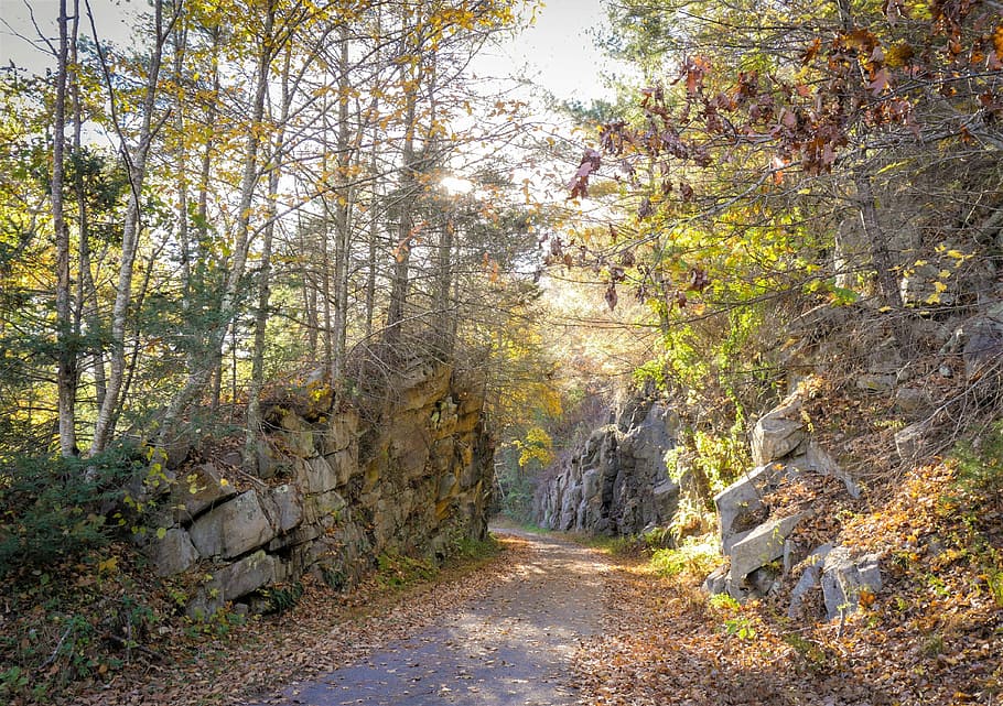 Trail, Walk, Nature, Walking, Hiking, adventure, travel, trekking HD wallpaper