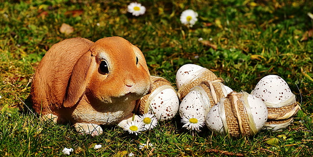 brown ceramic rabbit figurine beside white chamomiles at daytime HD wallpaper