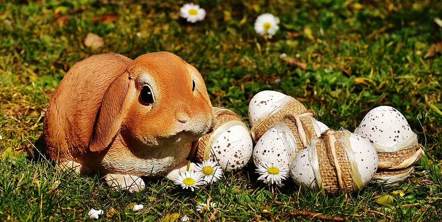 brown ceramic rabbit figurine beside white chamomiles at daytime HD wallpaper