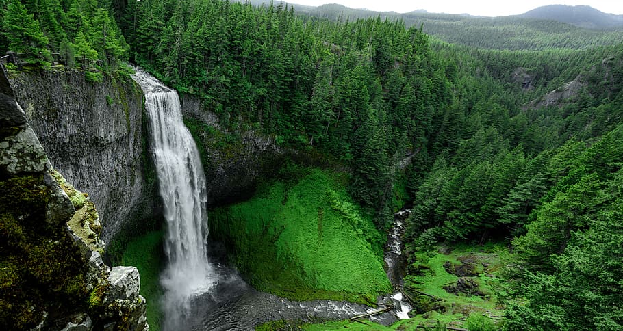 Skogafoss falls, waterfalls, green, grass, hill, trees, stream HD wallpaper