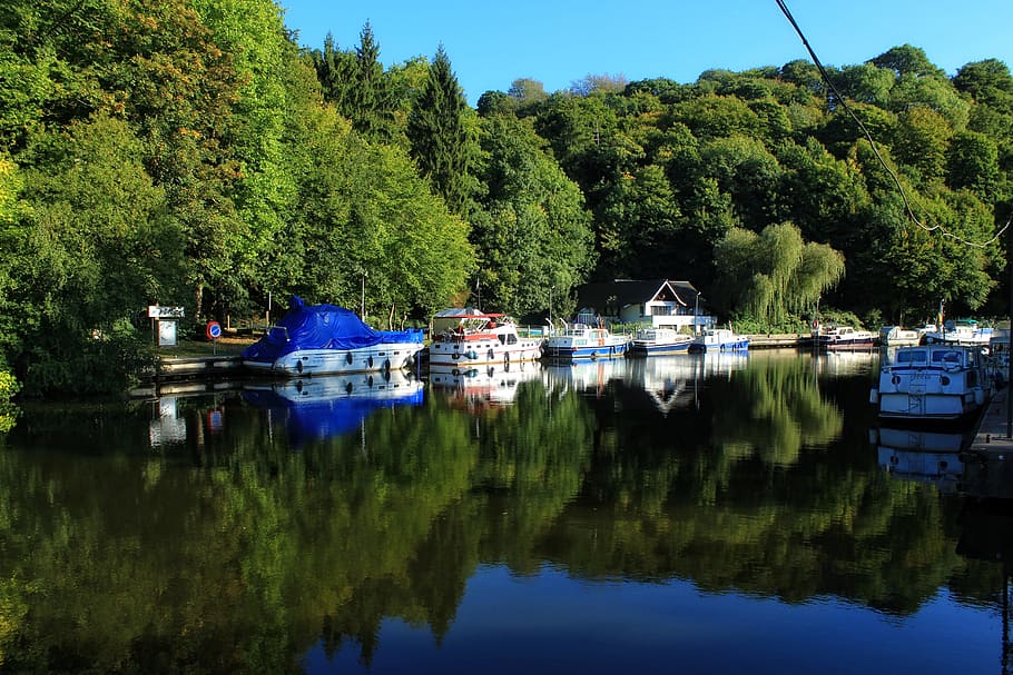 channel, boats, trees, belgium, water, reflection, plant, nautical vessel HD wallpaper