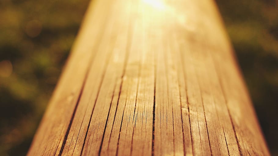 brown tree log, wood, texture, blurry, sunshine, wood - material HD wallpaper