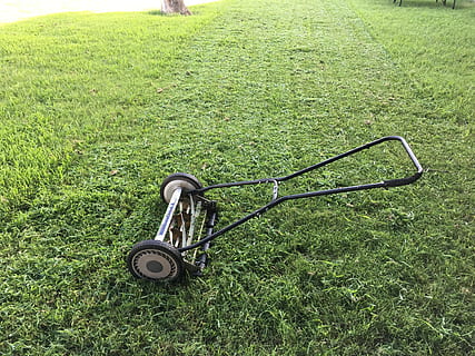black reel mower on green grass lawn, Lawnmower, Green, Grass HD wallpaper