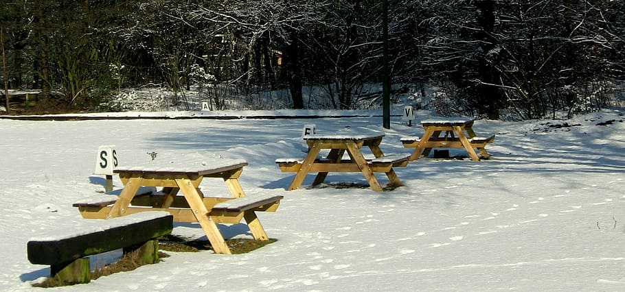 picnic tables, winter, snow, cold temperature, tree, seat, nature HD wallpaper