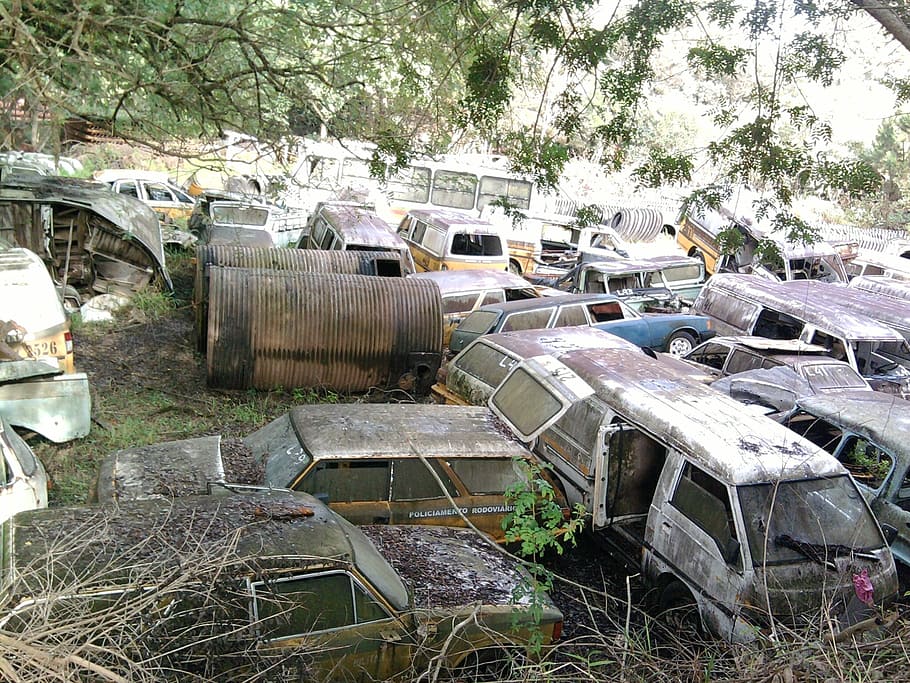 rent a car, junkyard, rust, abandoned, tree, damaged, obsolete HD wallpaper