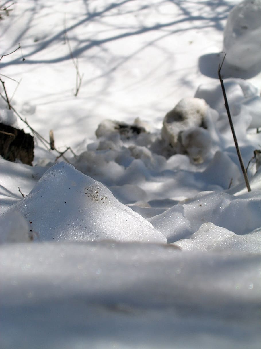 snow, cold, light, winter, field, cold temperature, white color HD wallpaper