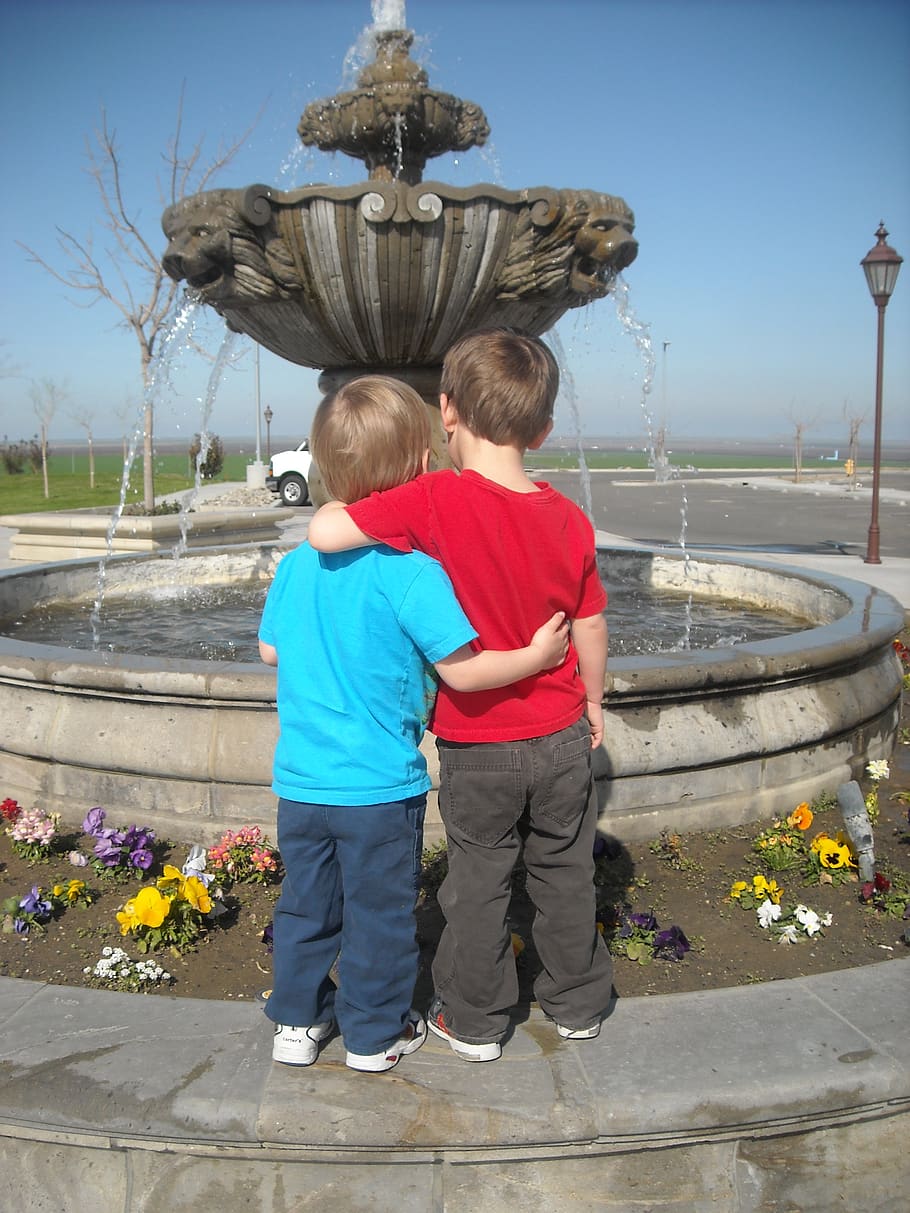 toddlers, brothers, buddies, child, childhood, rear view, boys HD wallpaper
