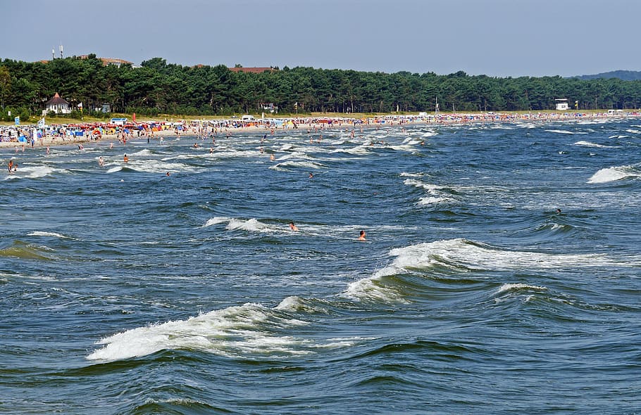 beach, rügen, binz, baltic sea, wave, swim, sand beach, pine, HD wallpaper