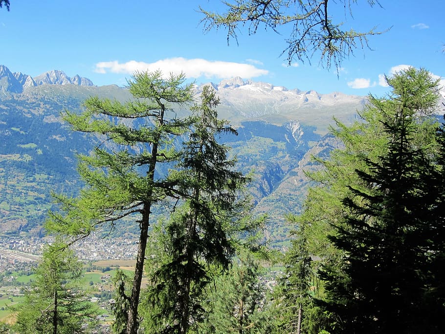 alpine, switzerland, summer, mountains, swiss alps, landscape