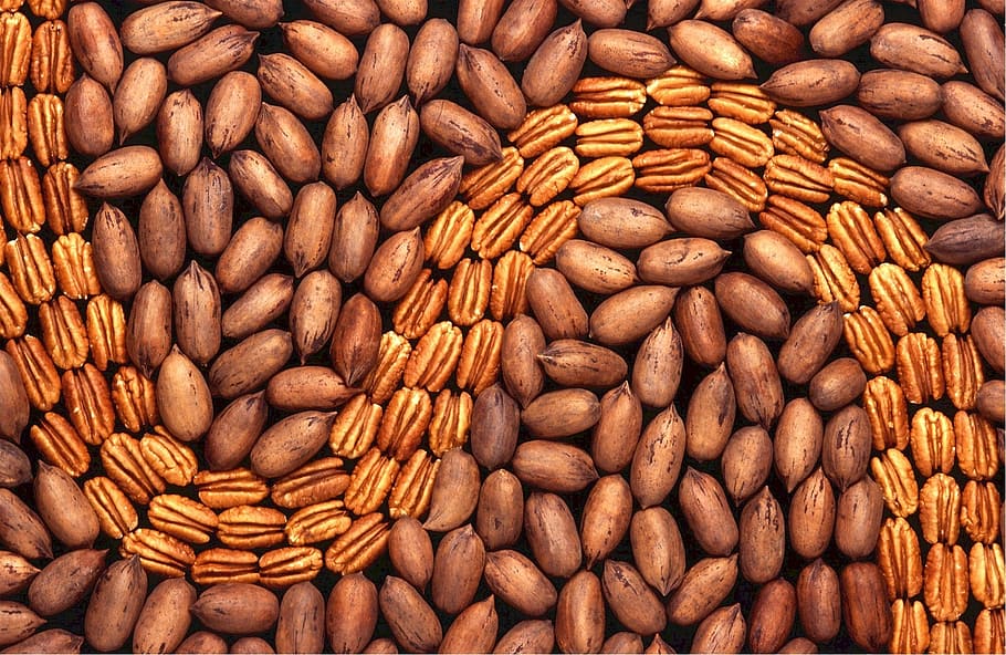 pecans, shelled, kernel, food, nut, brown, healthy, halves HD wallpaper