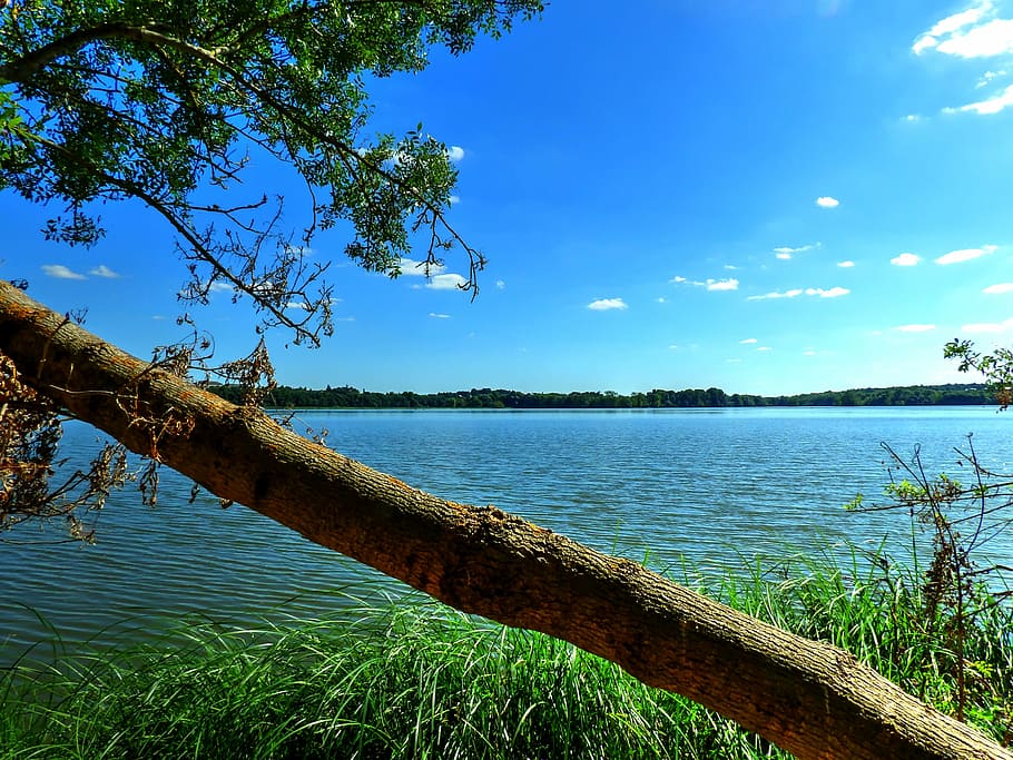 Trunk, Lake, Trees, Landscape, Water, france, summer, reflections HD wallpaper