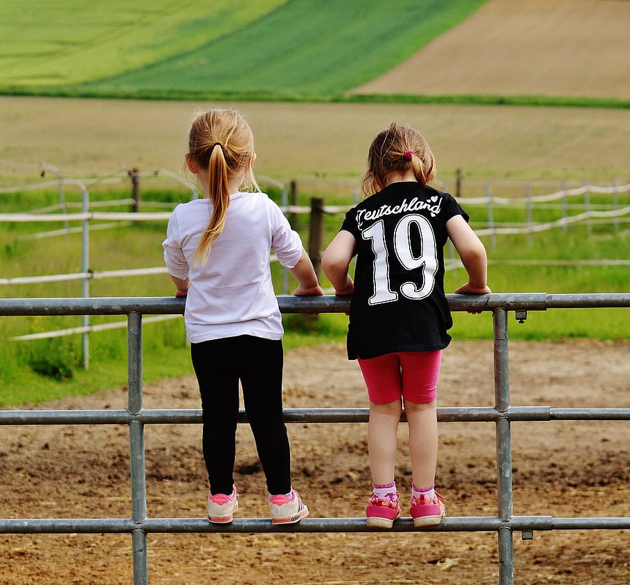 two toddler's climbing on metal farm fence, girl, gate, play HD wallpaper