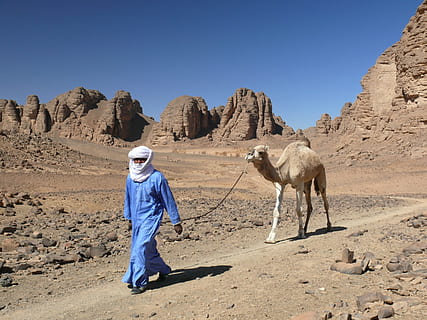 algeria, desert, dromedary, camel, people, sahara Desert, one person HD wallpaper