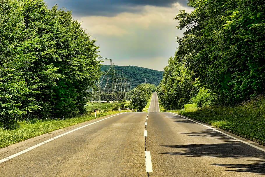 gray concrete road between trees at daytime, landscape, empty road HD wallpaper