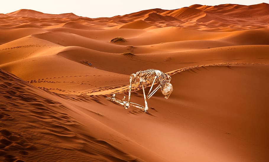 desert, sand, skeleton, screams, silence, footsteps, dune, duna, HD wallpaper