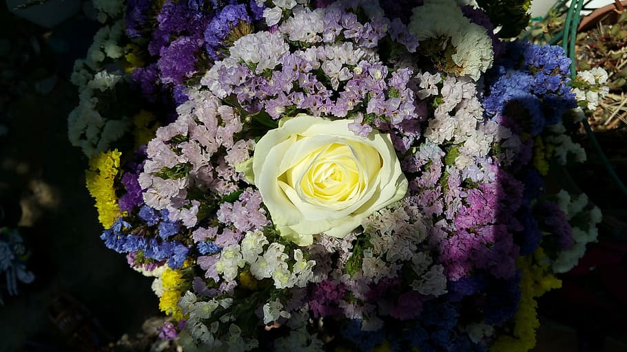 flowers, colors, white, violet, yellow, bouquet flowers, spring HD wallpaper