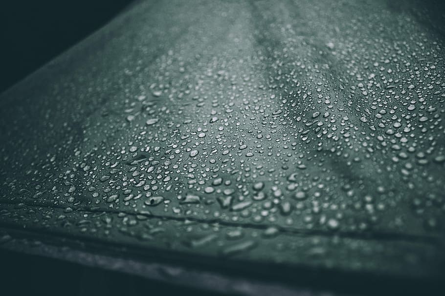water dew closeup photography, untitled, dropet, umbrella, black HD wallpaper