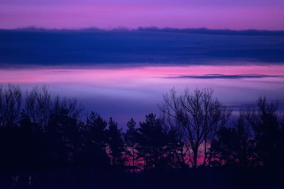 sunrise, dawn, morning, landscape, nature, trees, sky, clouds HD wallpaper