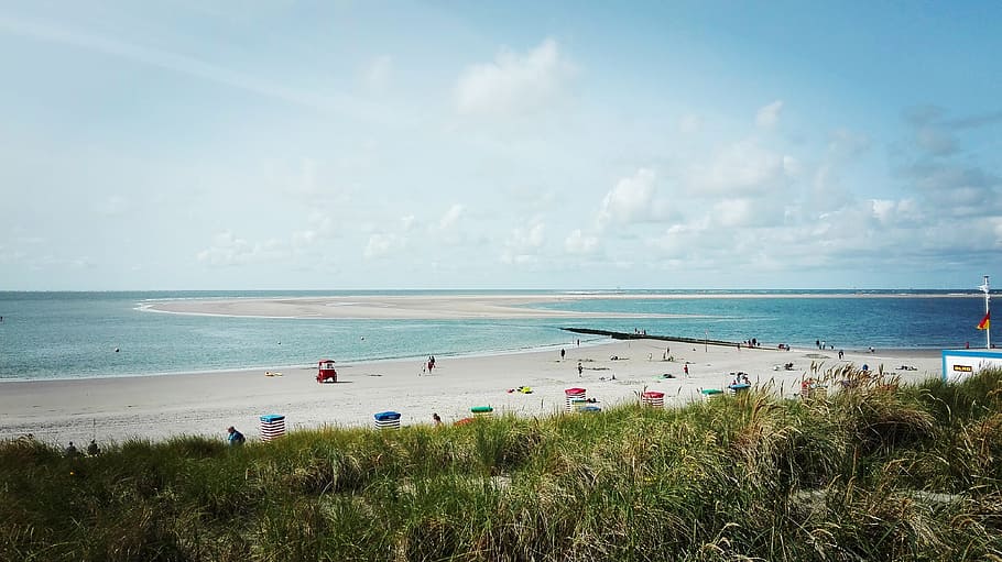 beach, borkum, north sea, island, north sea island of, dunes HD wallpaper