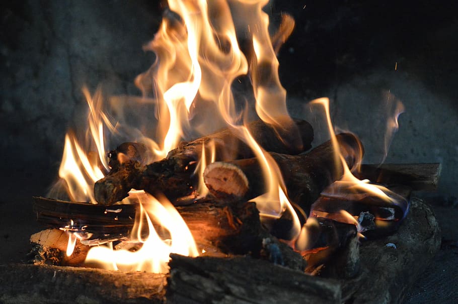 Fire, Lena, Flames, Heat, Campfire, trunk, wood, burn, burning HD wallpaper