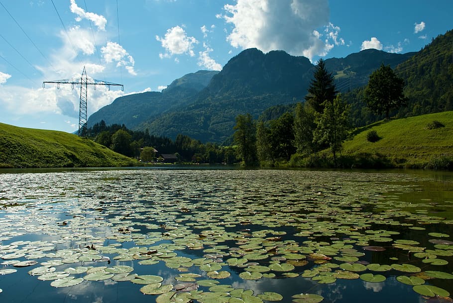 Austria, Mountains, Scenic, Valley, forest, trees, woods, summer HD wallpaper