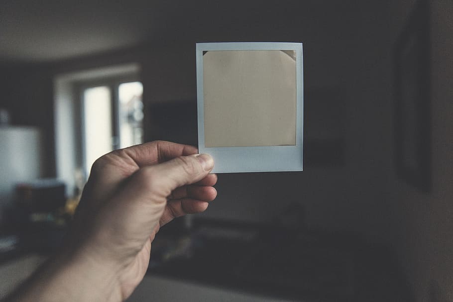 person holding white paper, person holding white and gold card HD wallpaper