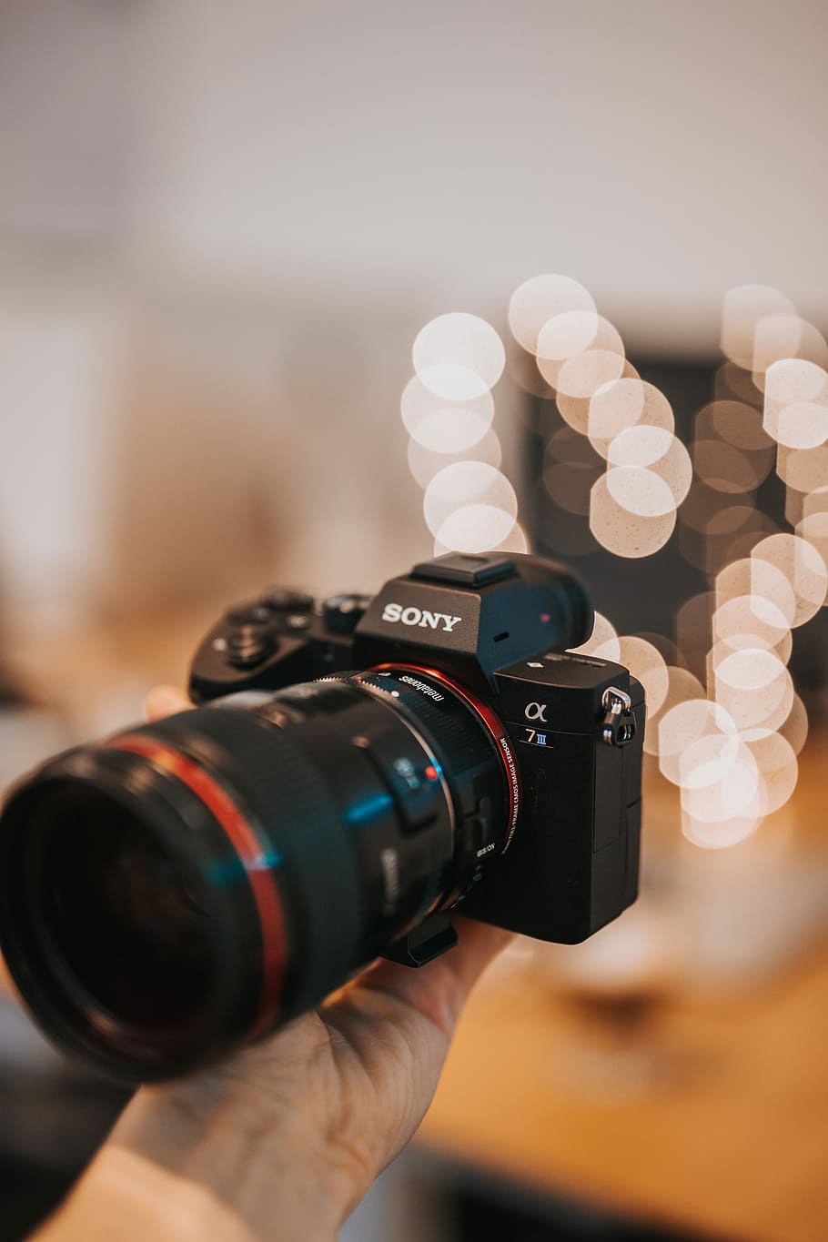 person holding black Sony DSLR camera, person holding Sony DSLR camera HD wallpaper