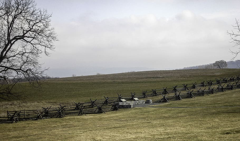 Bloody Line at Antietam National Battlefield, Maryland, civil war, HD wallpaper