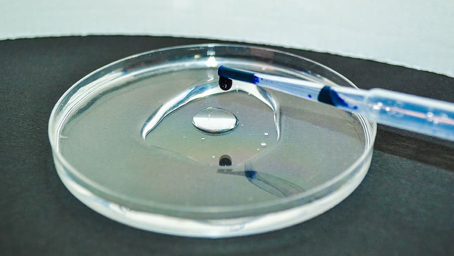 water, pipette, ray, drip, indoors, close-up, sink, no people HD wallpaper