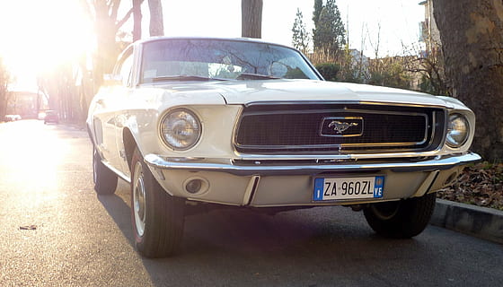 white Ford Mustang near tree, Auto, Machine, Road, Cityscape HD wallpaper