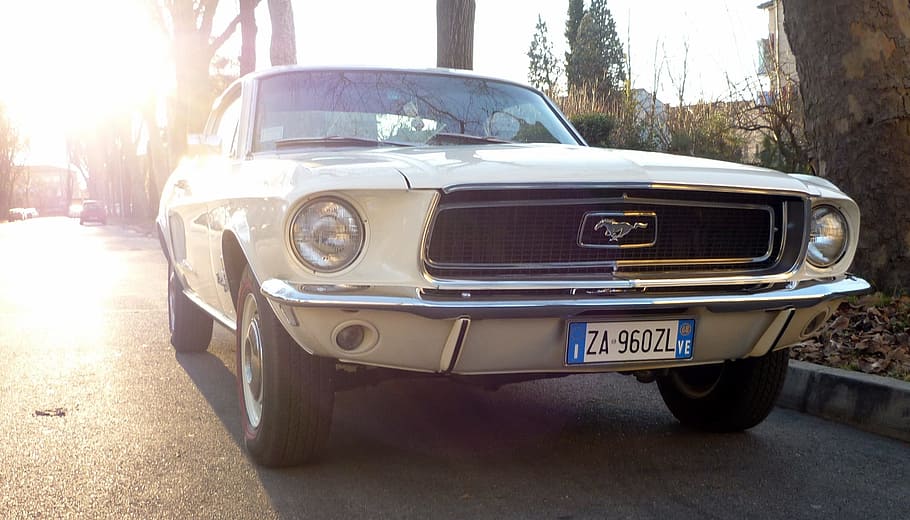 white Ford Mustang near tree, Auto, Machine, Road, Cityscape HD wallpaper