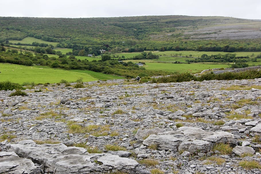 burren, ireland, landscape, irish, rock, stone, nature, landmark HD wallpaper