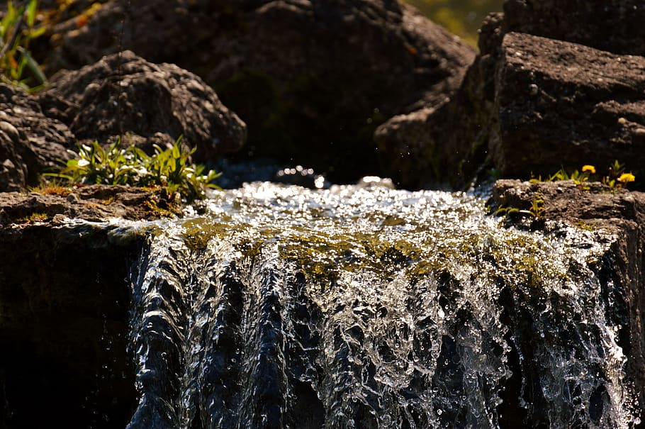water, bach, nature, forest, moss, landscape, flow, clear, rock HD wallpaper