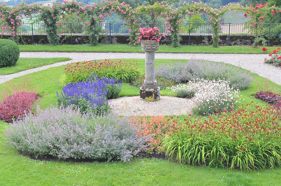 source, garden, flower, plant, flowering plant, ornamental garden HD wallpaper