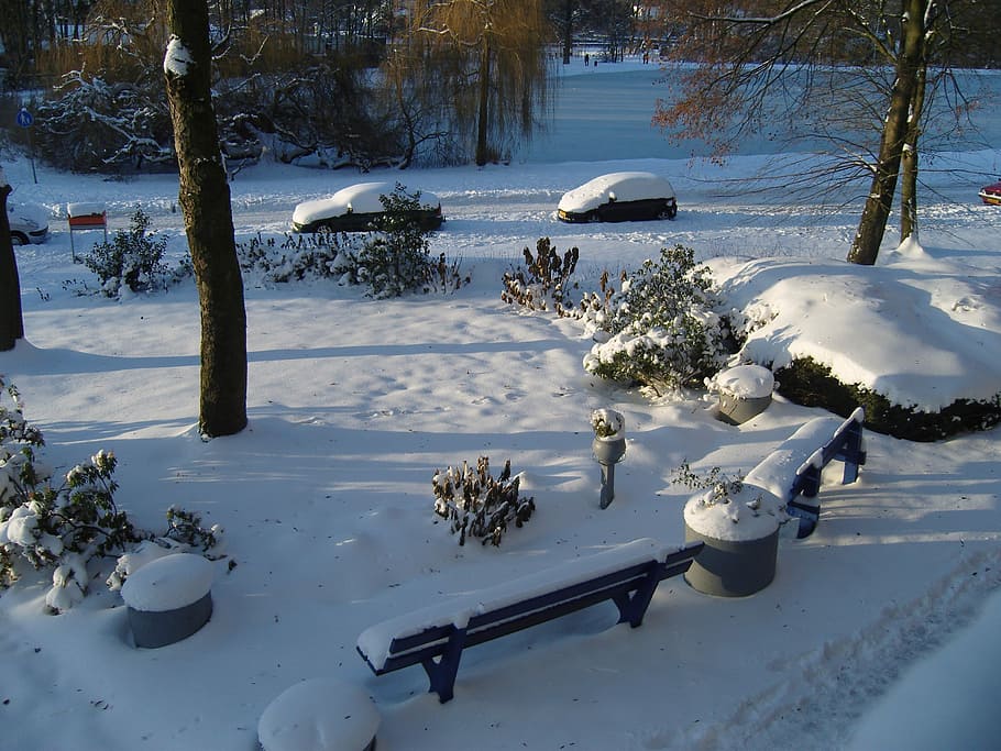 Winter, Snow, Landscape, the, snow landscape, cold temperature HD wallpaper