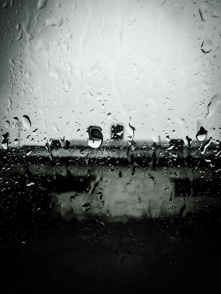 rain, water, wet, nature, raindrop, splash, transparent, splashing HD wallpaper