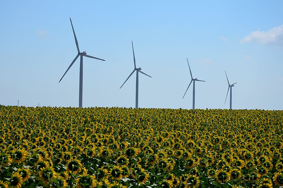 windmill, turbine, energy, electric, electric generator, alternative HD wallpaper