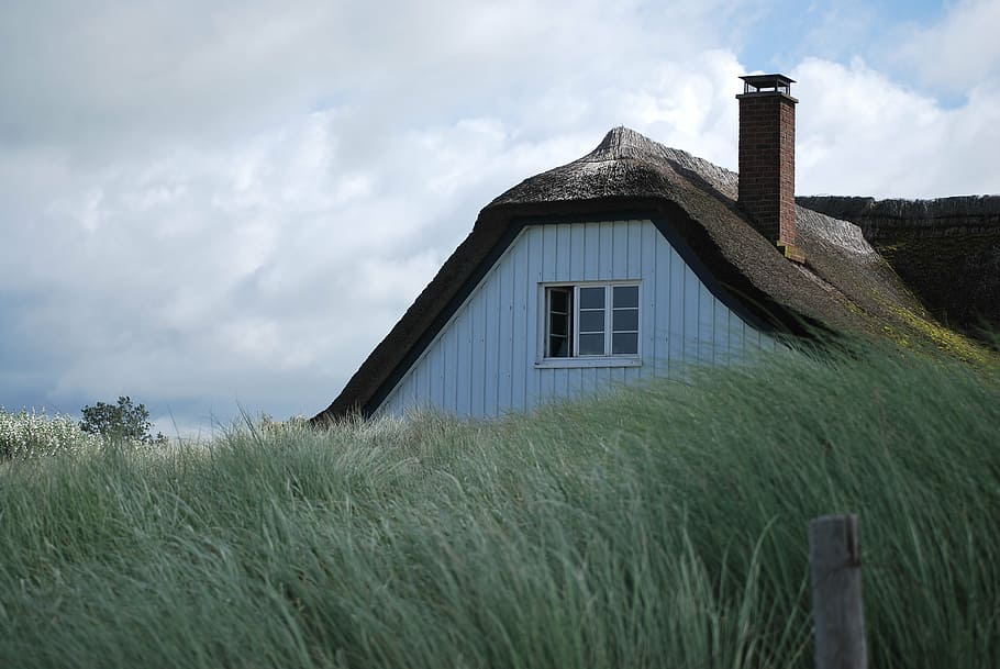 baltic sea, reed roof, coast, darß, cloud - sky, architecture, HD wallpaper